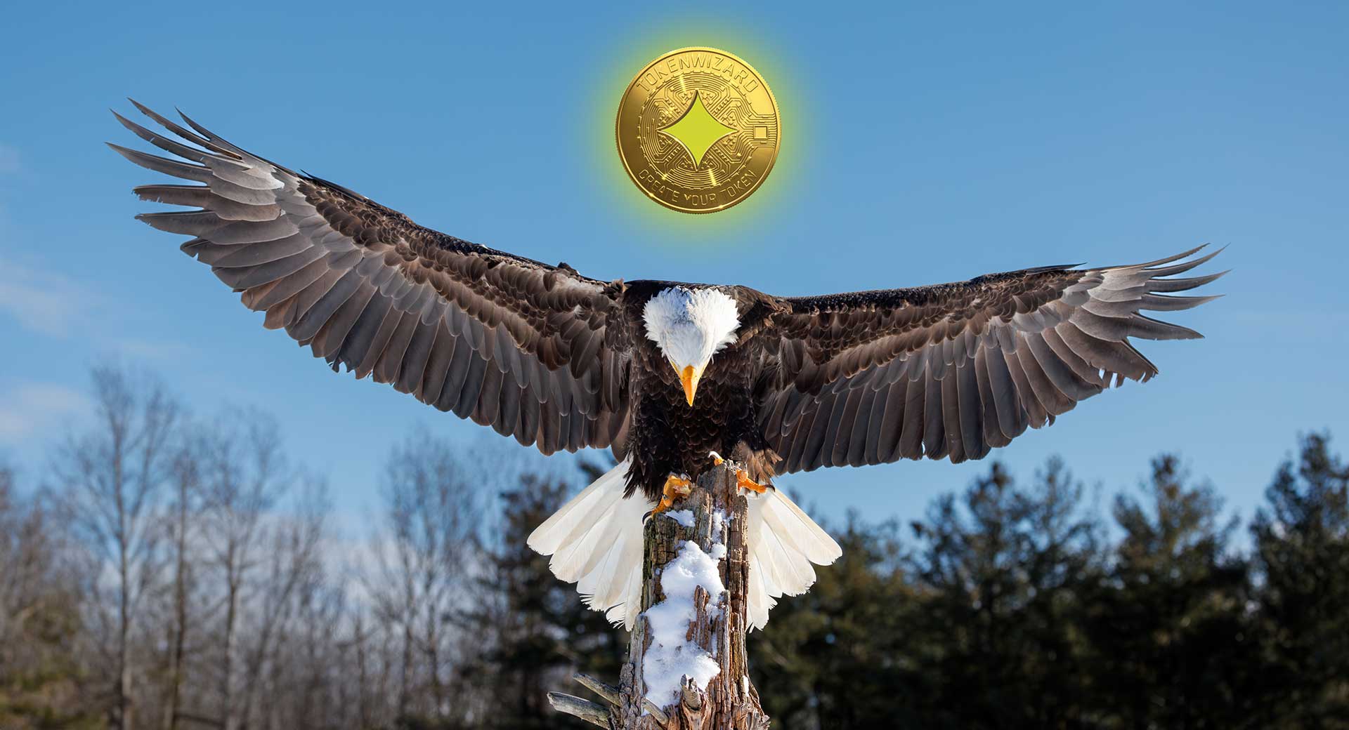 Tokenwizard logo ascending below eagle